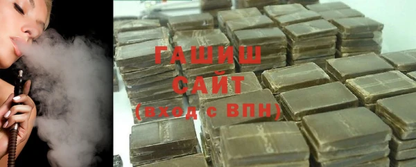 МДПВ Пересвет