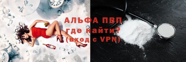 МДПВ Пересвет