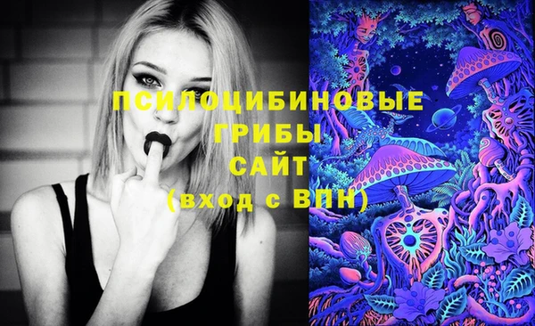 МДМА Белокуриха