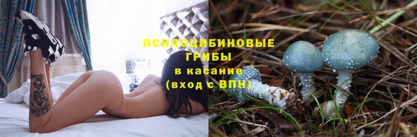 Альфа ПВП Пестово